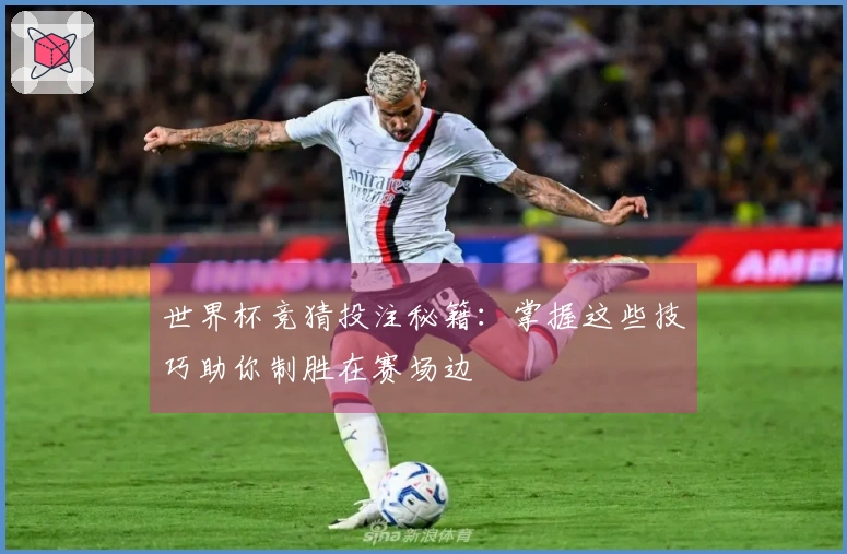 世界杯竞猜投注秘籍：掌握这些技巧助你制胜在赛场边