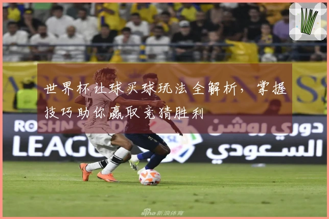世界杯让球买球玩法全解析，掌握技巧助你赢取竞猜胜利