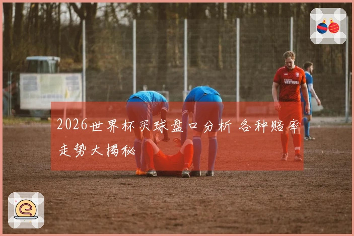 2026世界杯买球盘口分析 各种赔率走势大揭秘