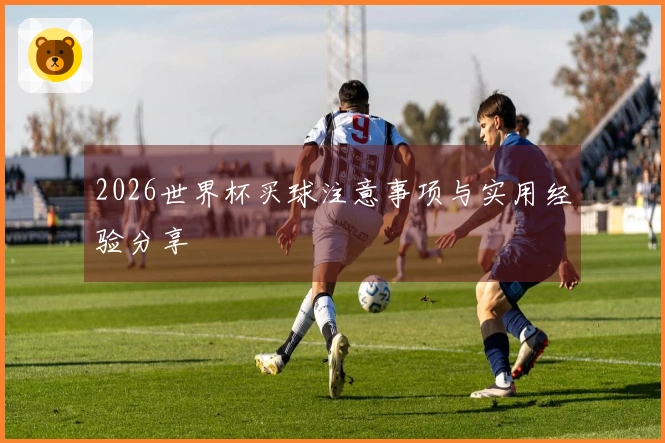 2026世界杯买球注意事项与实用经验分享