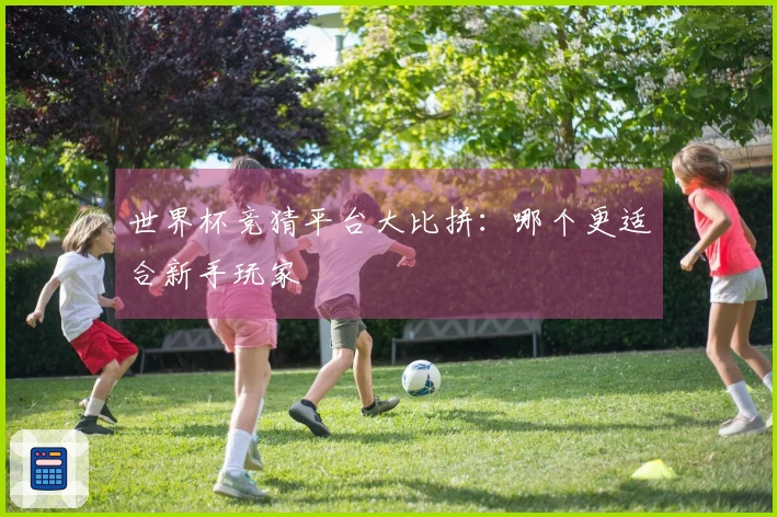 世界杯竞猜平台大比拼：哪个更适合新手玩家