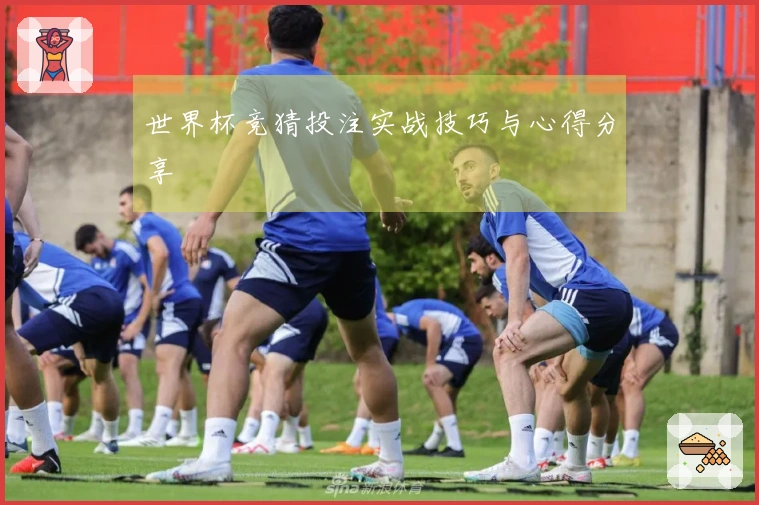 世界杯竞猜投注实战技巧与心得分享