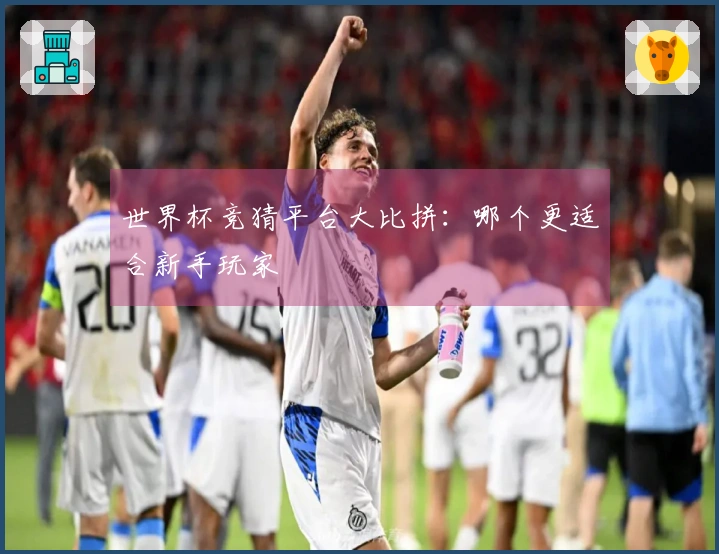 世界杯竞猜平台大比拼：哪个更适合新手玩家