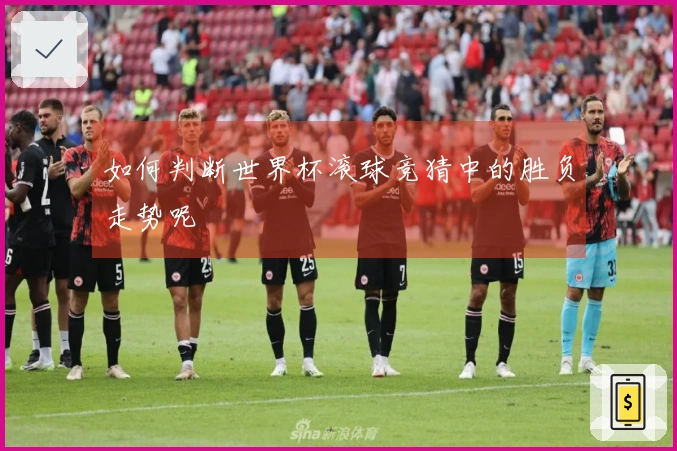 如何判断世界杯滚球竞猜中的胜负走势呢